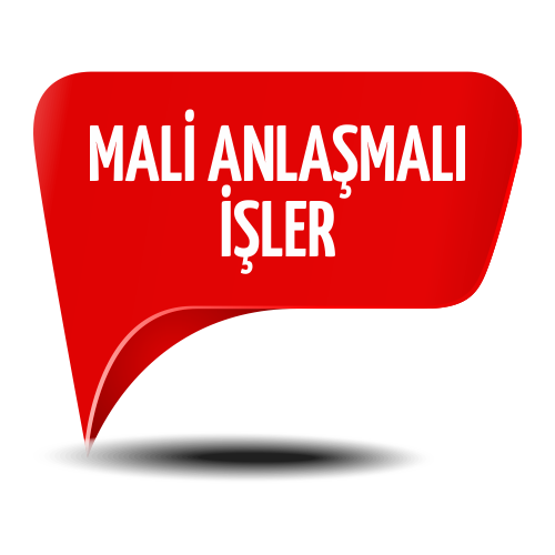 MALİ ANLAŞMALI İŞLER